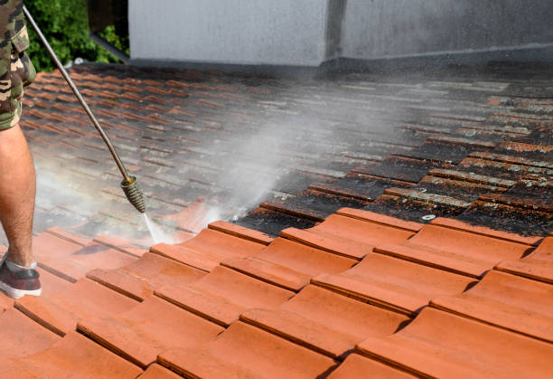 Best Exterior Home Cleaning  in Melody Hill, IN